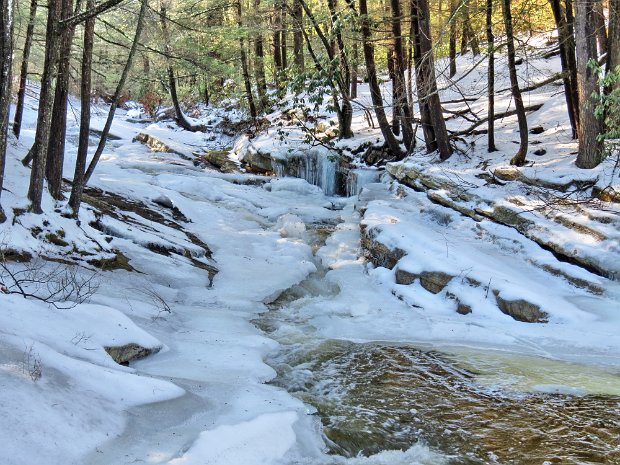 DickieBarreCoxingJan2015