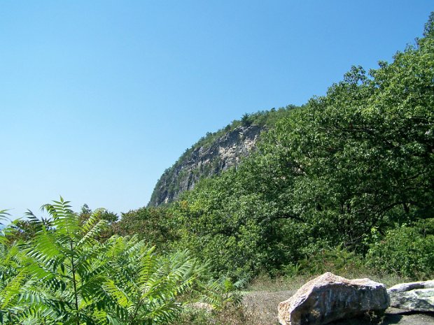 MillbrookNoseAug2008