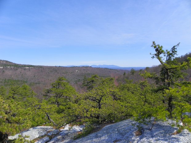 MillbrookTrappsApr2011