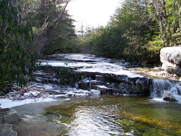 MinnewaskaAwostingNov2008