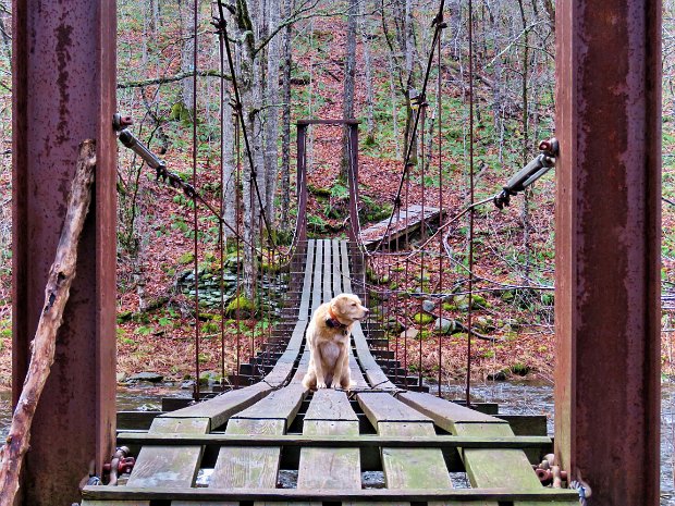 MongaupHardenburghNov2020