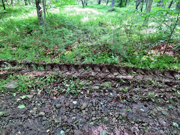 FrickMongaupLoopJun2016