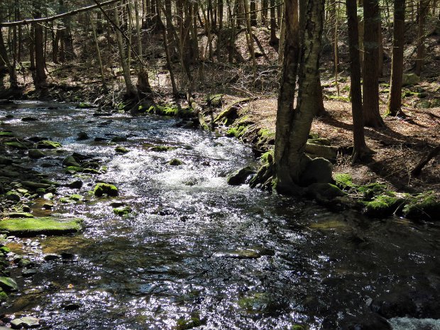 FrickMongaupLoopMay2018