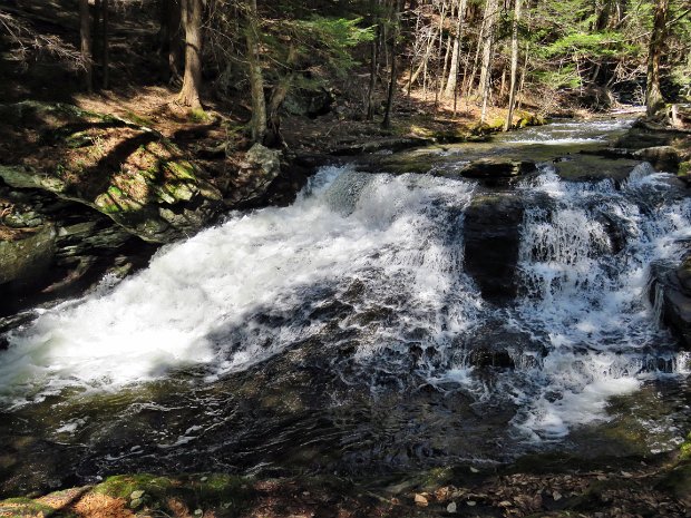 MongaupFallsLoopApr2017