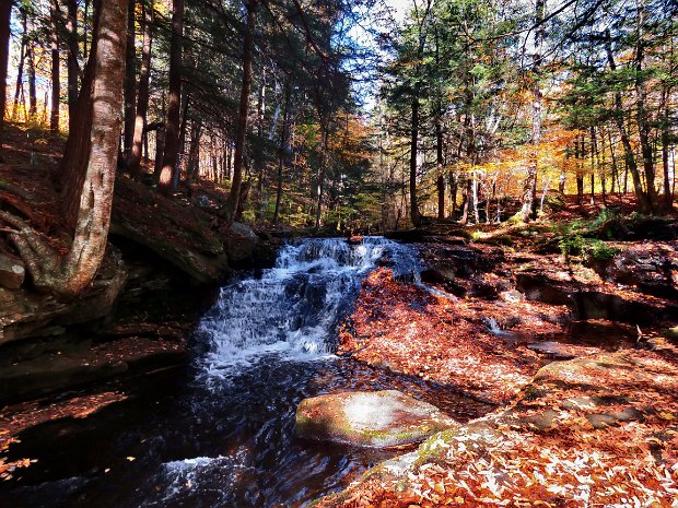 MongaupFallsOct2020