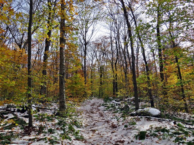 MongaupFlugertownLoopOct2016