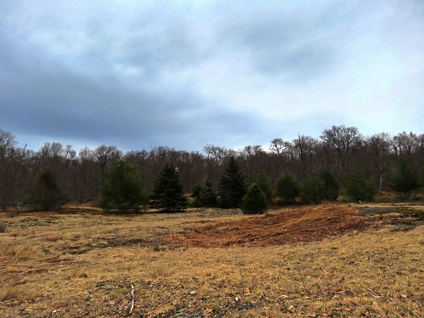 MongaupLedgesFallsApr2020