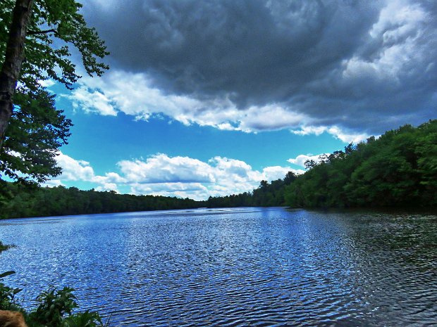 MongaupPondLoopJun2020