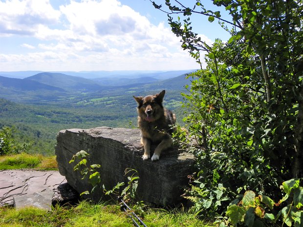 MontgomeryHollowAug2009