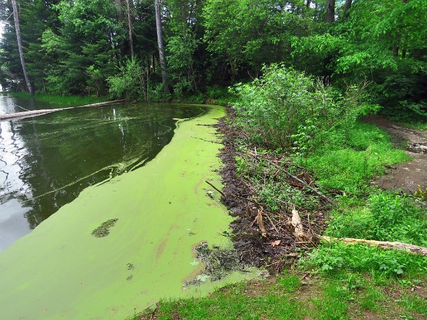 MorganHillEastLoopJun2020