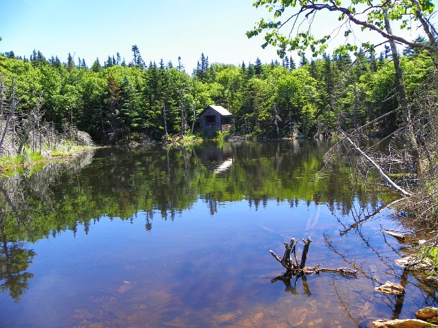 MountGreylockJul2010