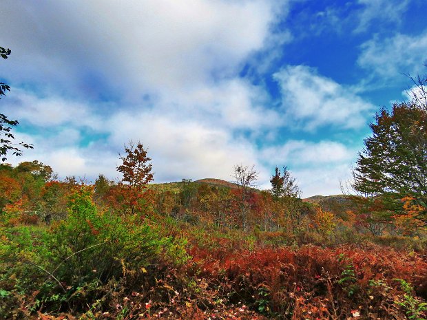 BalsamLakeBeaverkillOct2020