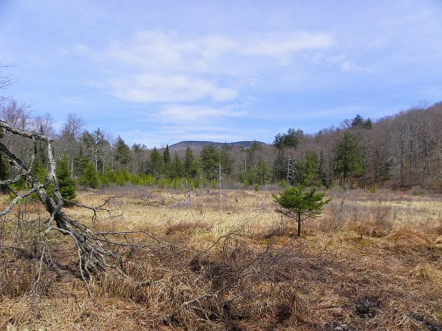 BeaverkillHeadApr2012