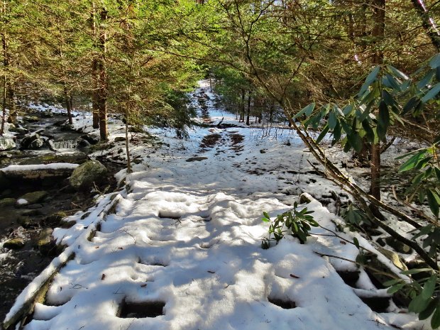 DentonHighMulletDec2014