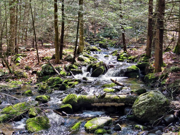 DentonMulletFamilyApr2018