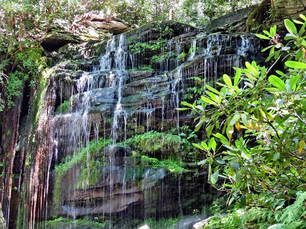 MulletDentonWolfAug2022