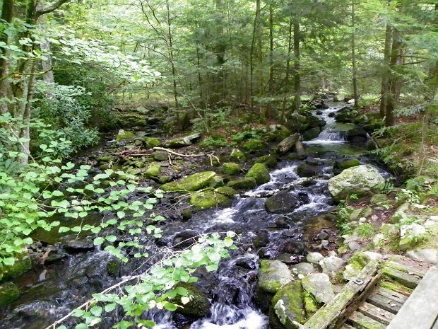 NeversinkUniqueSep2010