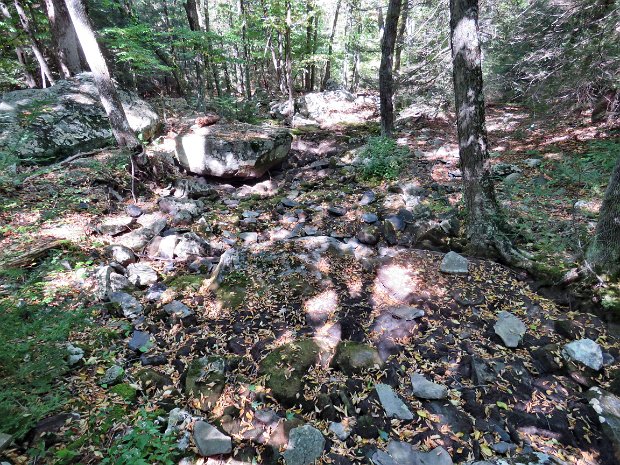 NeversinkUniqueSep2016