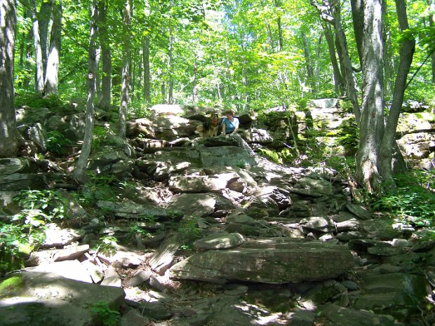 NSLakeStoppelPtJul2007