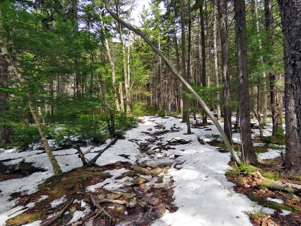 NorthPointAshleyFallsApr2017