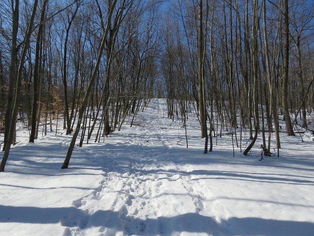 WyanokieMinesJan2016