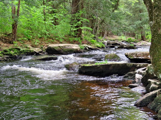 CobeyPondLoopMay2017