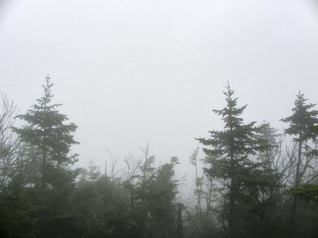 PantherFoxHollowMay2011