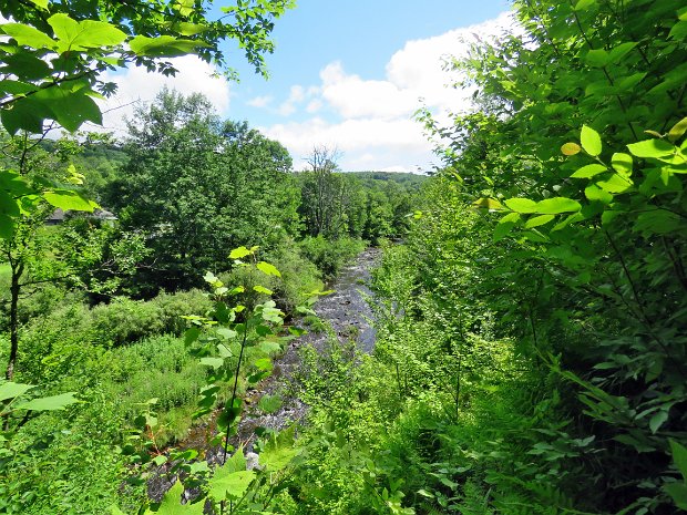 ParksvilleFallsJul2024