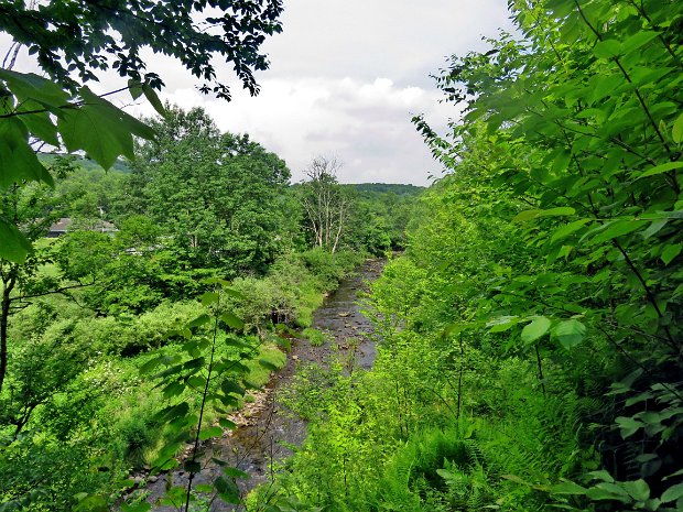 ParksvilleFallsJun2024