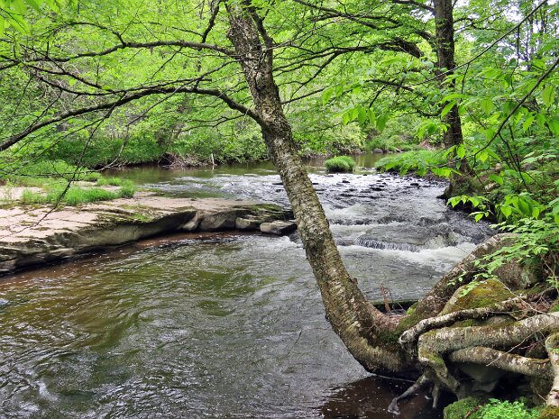 ParksvilleFallsMay2025