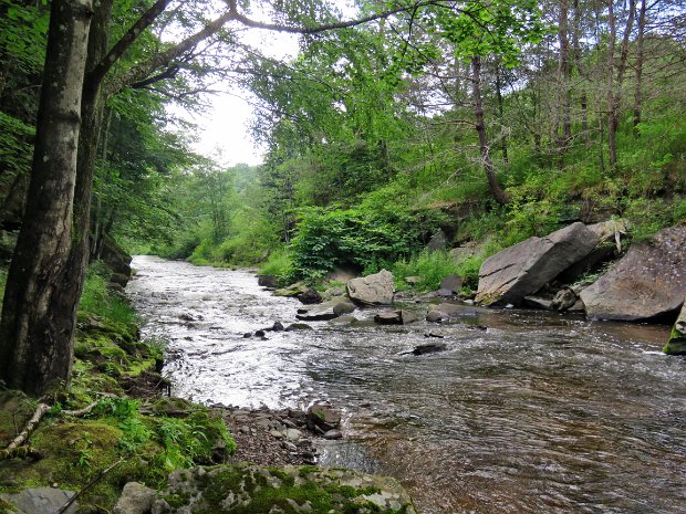 ParksvilleMaintenanceJul2023