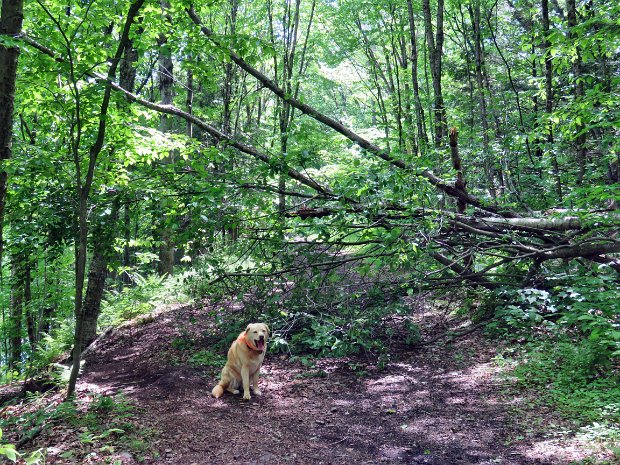 ParksvilleMaintenanceMay2022