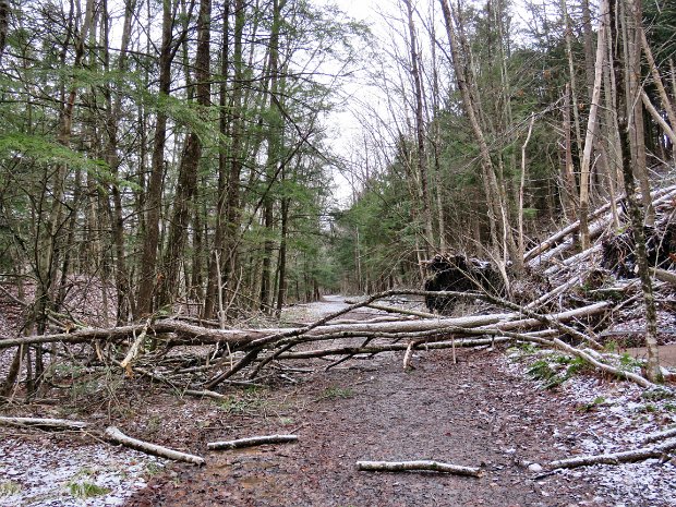 ParksvilleRailTrailDec2023