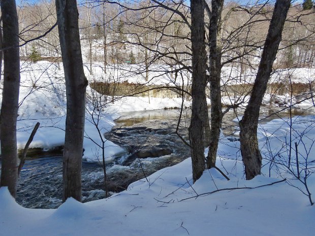 ParksvilleRailTrailFeb2021