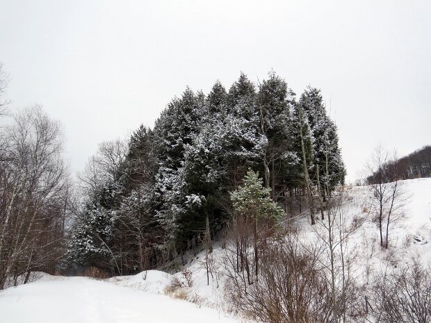 ParksvilleRailTrailFeb2026