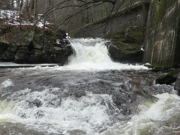 ParksvilleRailTrailLoopJan2024