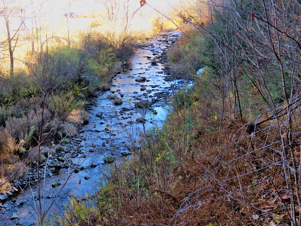 ParksvilleRailTrailOct2024