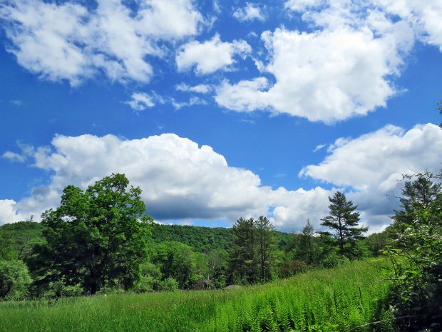 ParksvilleRailTrailSonomaLoopMay2024