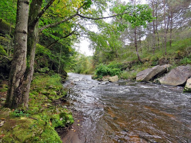 ParksvilleTrailRainSep2023