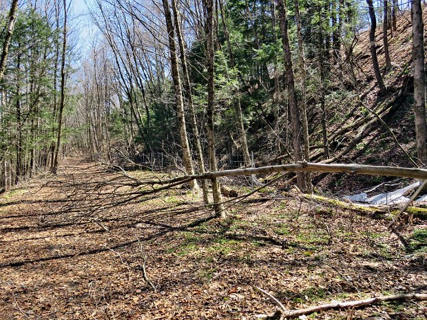 RailTrailMaintenanceApr2023