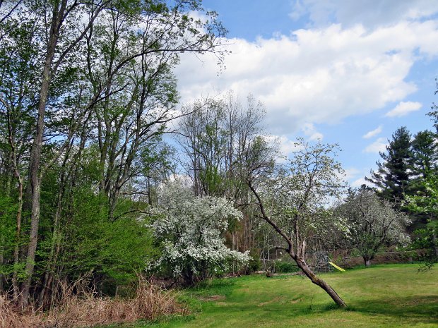 RailTrailParksvilleSonomaLoopMay2023