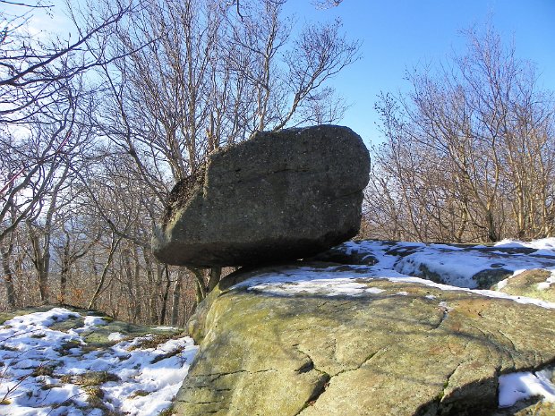 PeekamooseTableDec2011