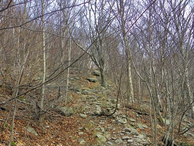 PlateauLookoutNov2011