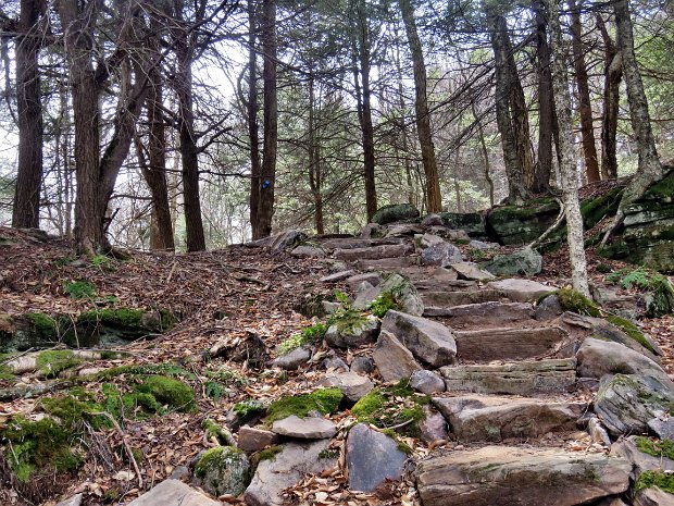 RedHillDenningApr2021