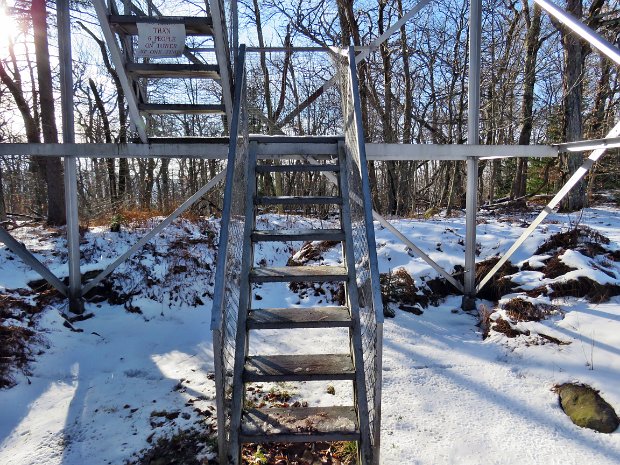 RedHillDenningDec2020b