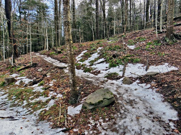 RedHillDenningFeb2022