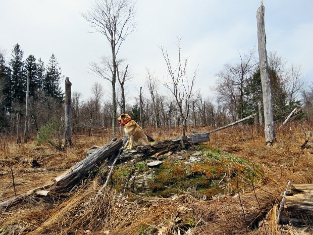 RehorRoadLongLoopApr2019