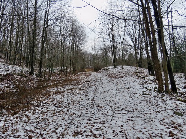 RehorRoadShortLoopApr2019