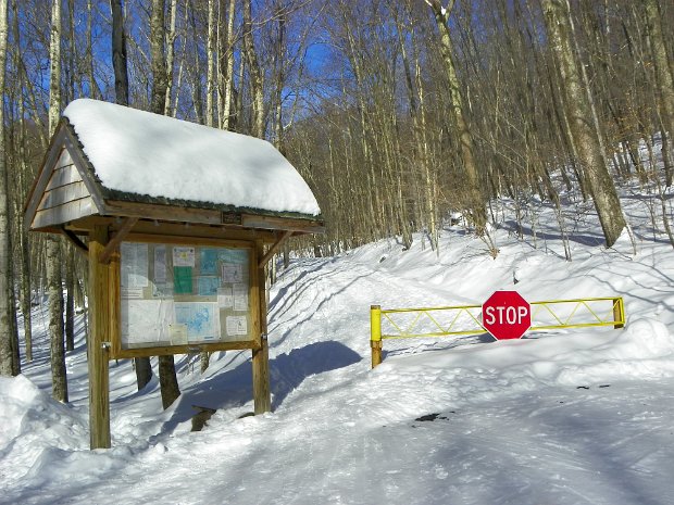 RochesterHollowJan2011