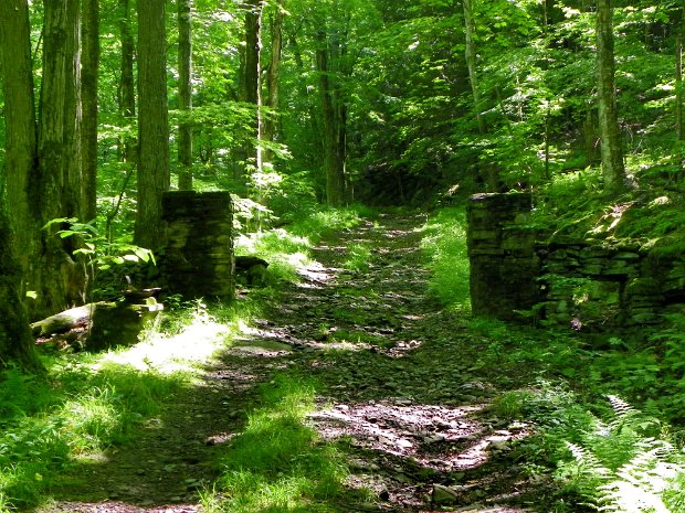 RochesterHollowJun2012